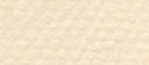 16&quot; x 20&quot; Art Board Eggshell