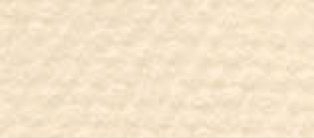 16" x 20" Art Board Eggshell