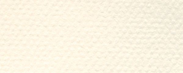 19" x 25" Pastel Sheet Pack Ivory