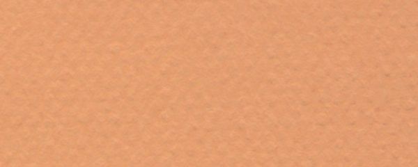 19" x 25" Pastel Sheet Pack Buff