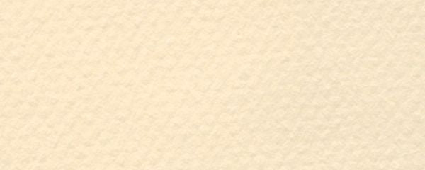 19" x 25" Pastel Sheet Pack Cream