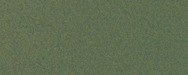 19 x 25 Pastel Sheet Pack Ivy