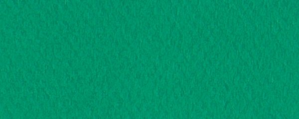 19" x 25" Pastel Sheet Pack Viridian