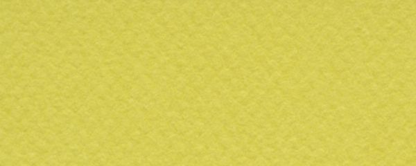 19" x 25" Pastel Sheet Pack Anise