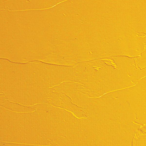 Oil Color Paint Cadmium Yellow Medium 150ml