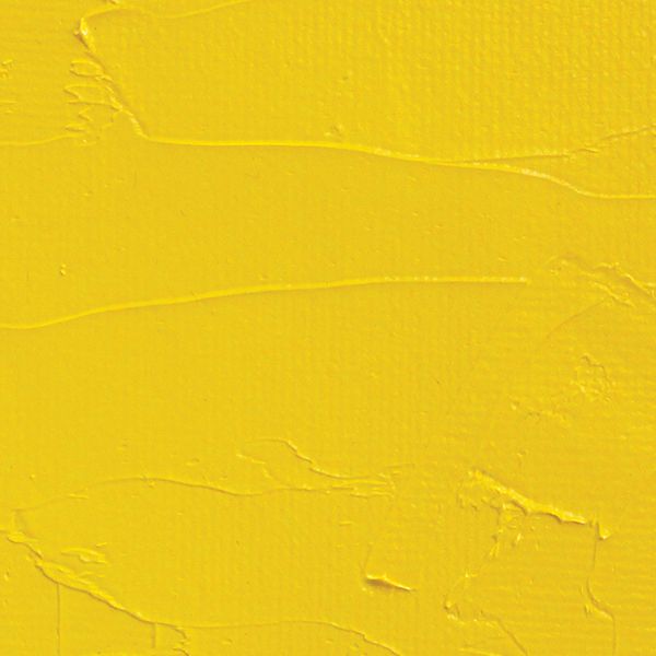 Oil Color Paint Hansa Yellow Medium 150ml