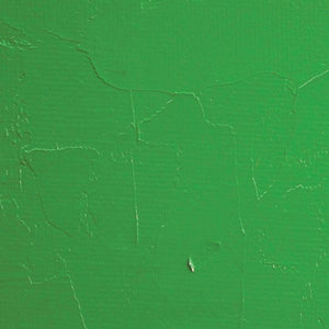 Oil Color Paint Permanent Green Light 150ml