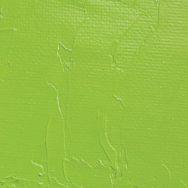 Oil Color Paint Cadmium Green 37ml