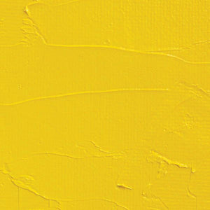 Oil Color Paint Hansa Yellow Medium 37ml