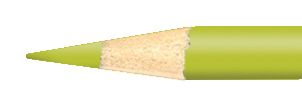Premier Colored Pencil Limepeel