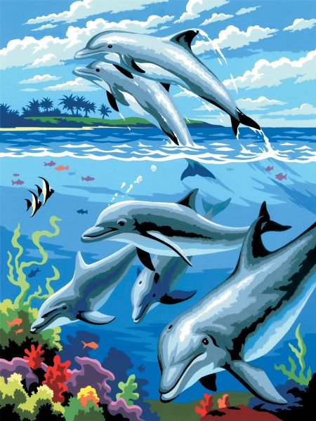 8 3/4 x 11 3/8 Junior Small Set Dolphins