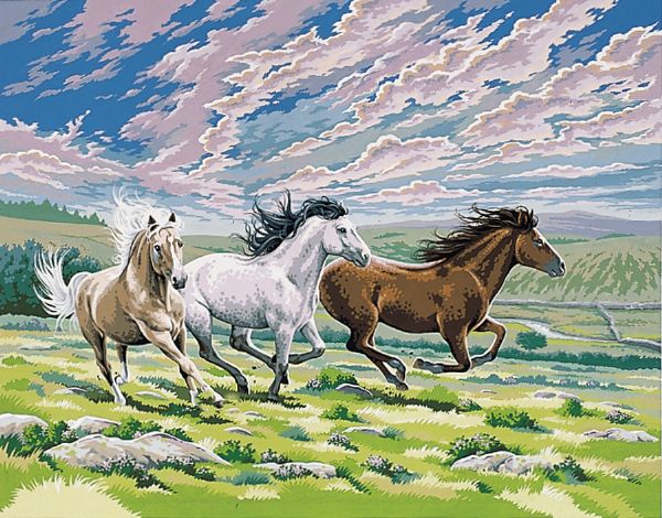 Large Acrylic Painting By Numbers Set Galloping Horse