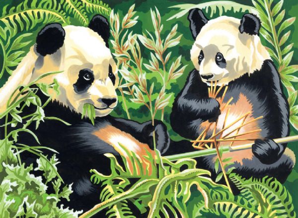 Large Acrylic Painting By Numbers Set Panda