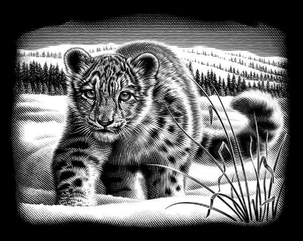 Snow Leopard