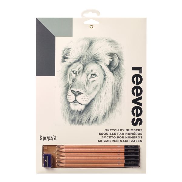 Medium Sketching by Numbers Lion