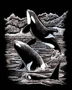 Engraving Art Set Silver Foil Orca Whales