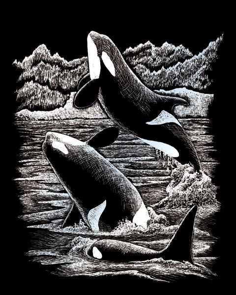 Engraving Art Set Silver Foil Orca Whales