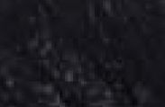 Oil Paint Artist Color Payne's Gray