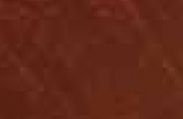 Oil Paint Artist Color Burnt Sienna