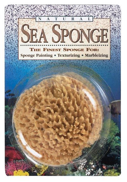 5-6" Natural Sea Sponge