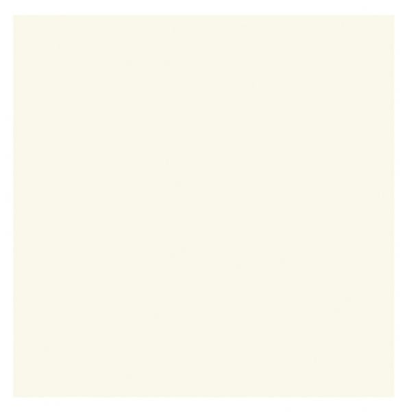 5 x 6.875 Palm Beach/Plain Edge Creative Cards 50-Pack