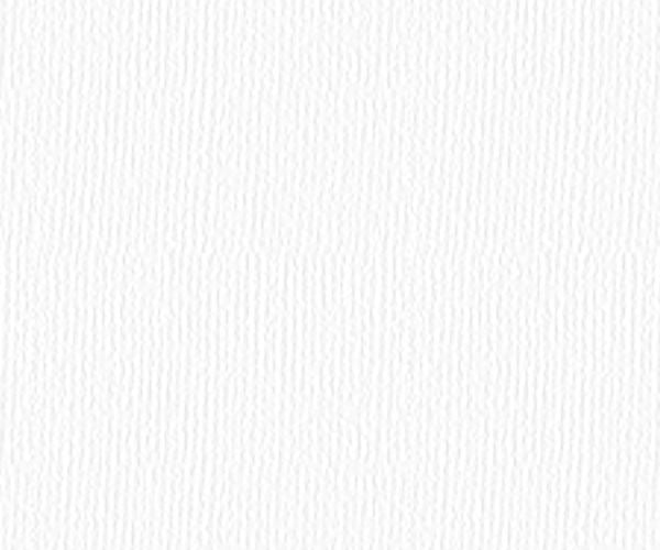 22" x 30" Heavyweight Printmaking Paper