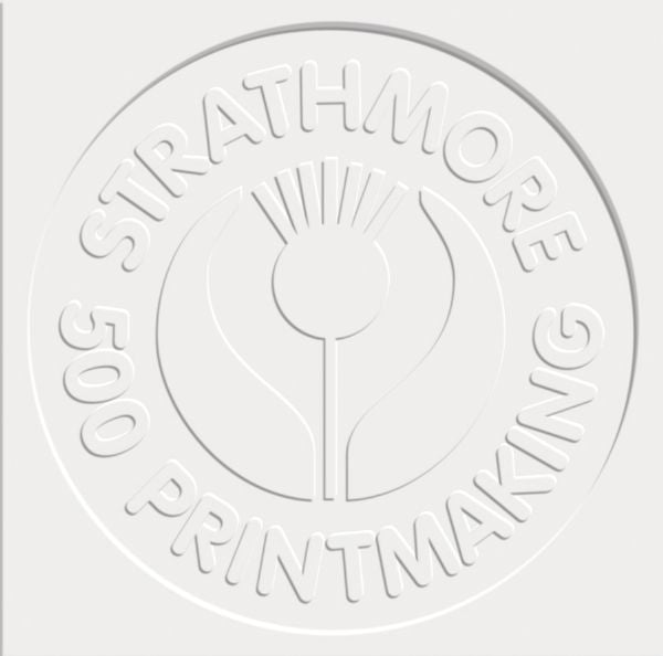 22" x 30" Printmaking Sheet